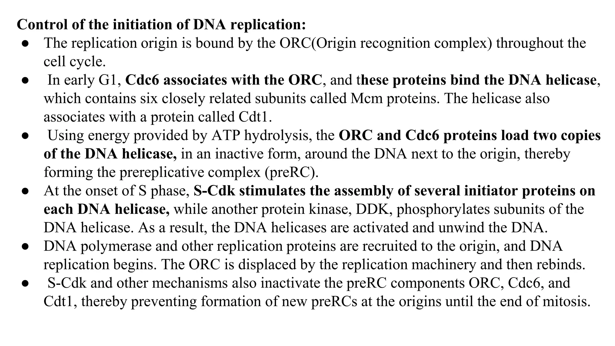 Control of the initiation of DNA replication:
● The replication origin is bound by the ORC(Origin recognition complex) throughout the
cell cycle.
● In early G1, Cdc6 associates with the ORC, and these proteins bind the DNA helicase,
which contains six closely related subunits called Mcm proteins. The helicase also
associates with a protein called Cdt1.
● Using energy provided by ATP hydrolysis, the ORC and Cdc6 proteins load two copies
of the DNA helicase, in an inactive form, around the DNA next to the origin, thereby
forming the prereplicative complex (preRC).
● At the onset of S phase, S-Cdk stimulates the assembly of several initiator proteins on
each DNA helicase, while another protein kinase, DDK, phosphorylates subunits of the
DNA helicase. As a result, the DNA helicases are activated and unwind the DNA.
● DNA polymerase and other replication proteins are recruited to the origin, and DNA
replication begins. The ORC is displaced by the replication machinery and then rebinds.
● S-Cdk and other mechanisms also inactivate the preRC components ORC, Cdc6, and
Cdt1, thereby preventing formation of new preRCs at the origins until the end of mitosis.
 