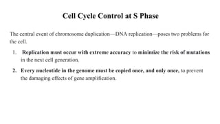 Cell Cycle Control at S Phase
The central event of chromosome duplication—DNA replication—poses two problems for
the cell.
1. Replication must occur with extreme accuracy to minimize the risk of mutations
in the next cell generation.
2. Every nucleotide in the genome must be copied once, and only once, to prevent
the damaging effects of gene amplification.
 