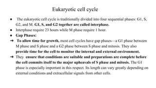 Eukaryotic cell cycle
● The eukaryotic cell cycle is traditionally divided into four sequential phases: G1, S,
G2, and M. G1, S, and G2 together are called interphase.
● Interphase require 23 hours while M phase require 1 hour.
● Gap Phases:
➔ To allow time for growth, most cell cycles have gap phases—a G1 phase between
M phase and S phase and a G2 phase between S phase and mitosis. They also
provide time for the cell to monitor the internal and external environment.
➔ They ensure that conditions are suitable and preparations are complete before
the cell commits itself to the major upheavals of S phase and mitosis. The G1
phase is especially important in this respect. Its length can vary greatly depending on
external conditions and extracellular signals from other cells.
 