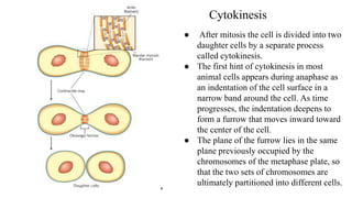 Cell Cycle Control System
● The control system is rigidly programmed to provide a fixed amount of time for the
completion ...