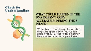 Check for
Understanding
WHAT COULD HAPPEN IF THE
DNA DOESN’T COPY
ACCURATELYDURING THE S
PHASE?
Write down your thoughts on what
might happen if DNA replication
goes wrong. Pair up with a partner
to share and compare your ideas.
 