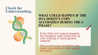 Check for
Understanding
WHAT COULD HAPPEN IF THE
DNA DOESN’T COPY
ACCURATELYDURING THE S
PHASE?
If the DNA isn't copied properly,
the daughter cells could end up
with missing or extra genetic
material.
This could cause conditions like
Down syndrome or other genetic
disorders.
 