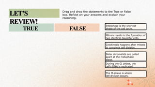 Drag and drop the statements to the True or False
box. Reflect on your answers and explain your
reasoning.
TRUE FALSE
Interphase is the shortest
phase of the cell cycle.
Mitosis results in the formation of
two identical daughter cells.
Cytokinesis happens after mitosis
to complete cell division.
Sister chromatids are pulled
apart at the metaphase
stage.
During the G1 phase, the
cell's DNA is replicated.
The M-phase is where
cell division occurs.
LET’S
REVIEW!
LET’S
REVIEW!
 