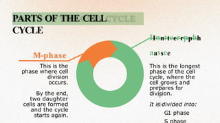 PARTS OF THE CELL
CYCLE
M-phase
This is the
phase where cell
division
occurs.
By the end,
two daughter
cells are formed
and the cycle
starts again.
IInntteerrpphh
aassee
This is the longest
phase of the cell
cycle, where the
cell grows and
prepares for
division.
It is divided into:
G1 phase
 