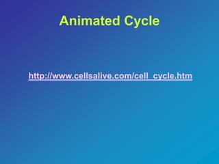 Animated Cycle 
http://www.cellsalive.com/cell_cycle.htm 
 