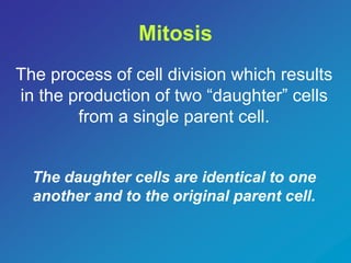 Mitosis 
The process of cell division which results 
in the production of two “daughter” cells 
from a single parent cell. 
The daughter cells are identical to one 
another and to the original parent cell. 
 
