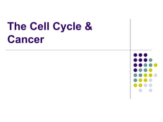 The Cell Cycle &
Cancer
 