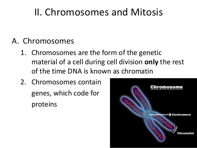 The cell cycle, mitosis, and meiosis unit 1