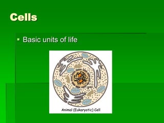 Cells

  Basic units of life
 