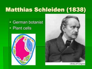 Matthias Schleiden (1838)

  German botanist
  Plant cells
 