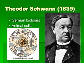 Theodor Schwann (1839)

  German biologist
  Animal cells
 