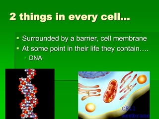 2 things in every cell…

  Surrounded by a barrier, cell membrane
  At some point in their life they contain….
    DNA
 