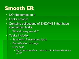 Smooth ER
 NO ribosomes on it
 Looks smooth
 Contains collections of ENZYMES that have
  specialized tasks
   What do enzymes do?
 Tasks include:
   Synthesis of membrane lipids
   Detoxification of drugs
   Liver cells
      Big in detox therefore….what do u think liver cells have a
       lot of?
 