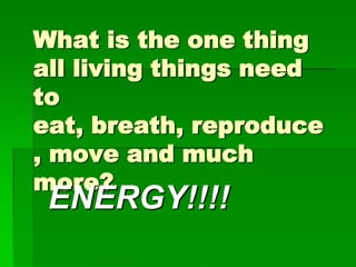 What is the one thing
all living things need
to
eat, breath, reproduce
, move and much
more?
 ENERGY!!!!
 