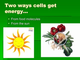 Two ways cells get
energy…
  From food molecules
  From the sun
 