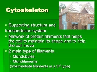 Cytoskeleton

 Supporting structure and
transportation system
 Network of protein filaments that helps
  the cell to maintain its shape and to help
  the cell move
 2 main type of filaments
   Microtubules
   Microfilaments
  (Intermediate filaments is a 3rd type)
 