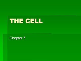 THE CELL

Chapter 7
 