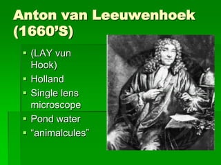 Anton van Leeuwenhoek
(1660’S)
  (LAY vun
   Hook)
  Holland
  Single lens
   microscope
  Pond water
  “animalcules”
 