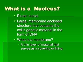 What is a Nucleus?
   Plural: nuclei
   Large, membrane enclosed
    structure that contains the
    cell’s genetic material in the
    form of DNA
   What is a membrane?
     A thin layer of material that
      serves as a covering or lining
 