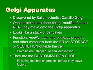 Golgi Apparatus
  Discovered by Italian scientist Camillo Golgi
  Once proteins are done being “modified” in the
   RER, they move onto the Golgi apparatus
  Looks like a stack of pancakes
  Function: modify, sort, and package proteins
   and other materials from the ER for STORAGE
   or SECRETION outside the cell
    Proteins are “shipped” to final destination
  They are the CUSTOMIZATION SHOP
    Finishing touches on proteins before they leave
     factory
 