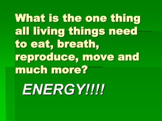 What is the one thing
all living things need
to eat, breath,
reproduce, move and
much more?
 ENERGY!!!!
 