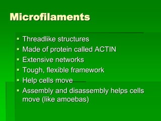 Microfilaments

    Threadlike structures
    Made of protein called ACTIN
    Extensive networks
    Tough, flexible framework
    Help cells move
    Assembly and disassembly helps cells
     move (like amoebas)
 
