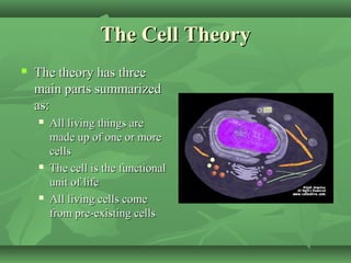 The Cell Theory
   The theory has three
    main parts summarized
    as:
       All living things are
        made up of one or more
        cells
       The cell is the functional
        unit of life
       All living cells come
        from pre-existing cells
 