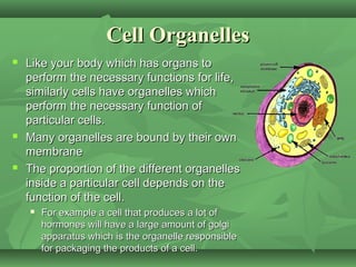 Cell Organelles
   Like your body which has organs to
    perform the necessary functions for life,
    similarly cells have organelles which
    perform the necessary function of
    particular cells.
   Many organelles are bound by their own
    membrane
   The proportion of the different organelles
    inside a particular cell depends on the
    function of the cell.
       For example a cell that produces a lot of
        hormones will have a large amount of golgi
        apparatus which is the organelle responsible
        for packaging the products of a cell.
 
