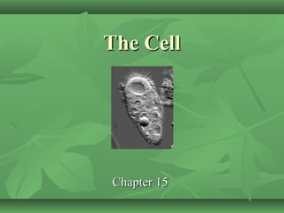 The Cell




Chapter 15
 