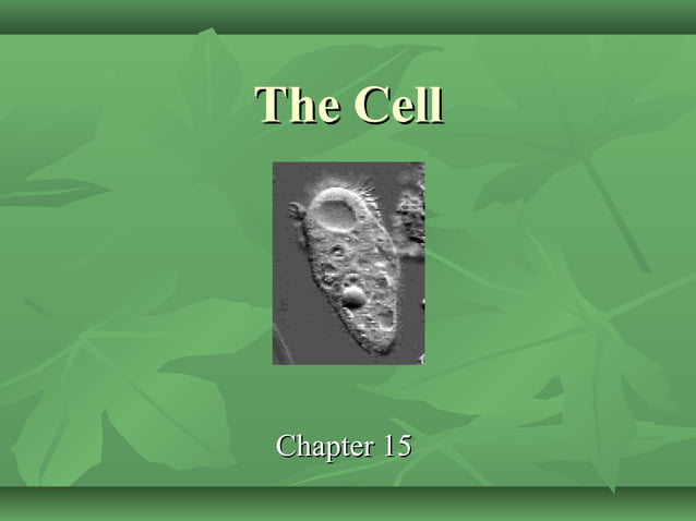 The Cell Factory Ppt