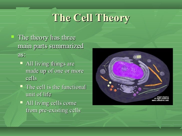 The cell factory ppt