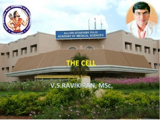 THE CELL
V.S.RAVIKIRAN, MSc.
 