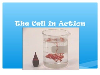 The Cell in Action
 