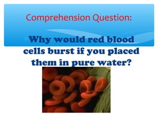 Comprehension Question:

∗Why would red blood
cells burst if you placed
  them in pure water?
 