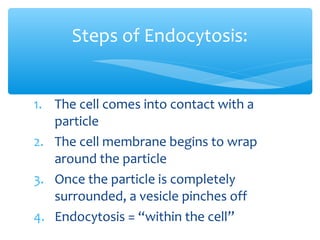 Steps of Endocytosis:


1. The cell comes into contact with a
   particle
2. The cell membrane begins to wrap
   around the particle
3. Once the particle is completely
   surrounded, a vesicle pinches off
4. Endocytosis = “within the cell”
 