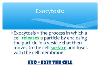 Exocytosis:


∗ Exocytosis = the process in which a
  cell releases a particle by enclosing
  the particle in a vesicle that then
  moves to the cell surface and fuses
  with the cell membrane
        EXO = EXIT THE CELL
 