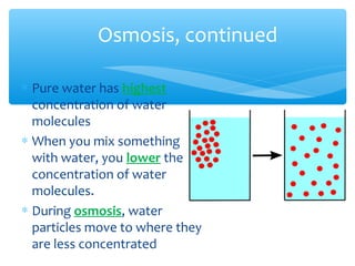 Osmosis, continued

∗ Pure water has highest
  concentration of water
  molecules
∗ When you mix something
  with water, you lower the
  concentration of water
  molecules.
∗ During osmosis, water
  particles move to where they
  are less concentrated
 
