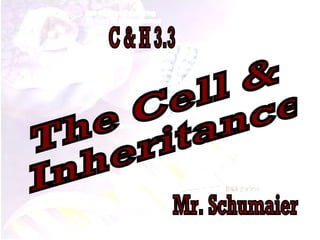 The Cell & Inheritance Mr. Schumaier C & H 3.3 