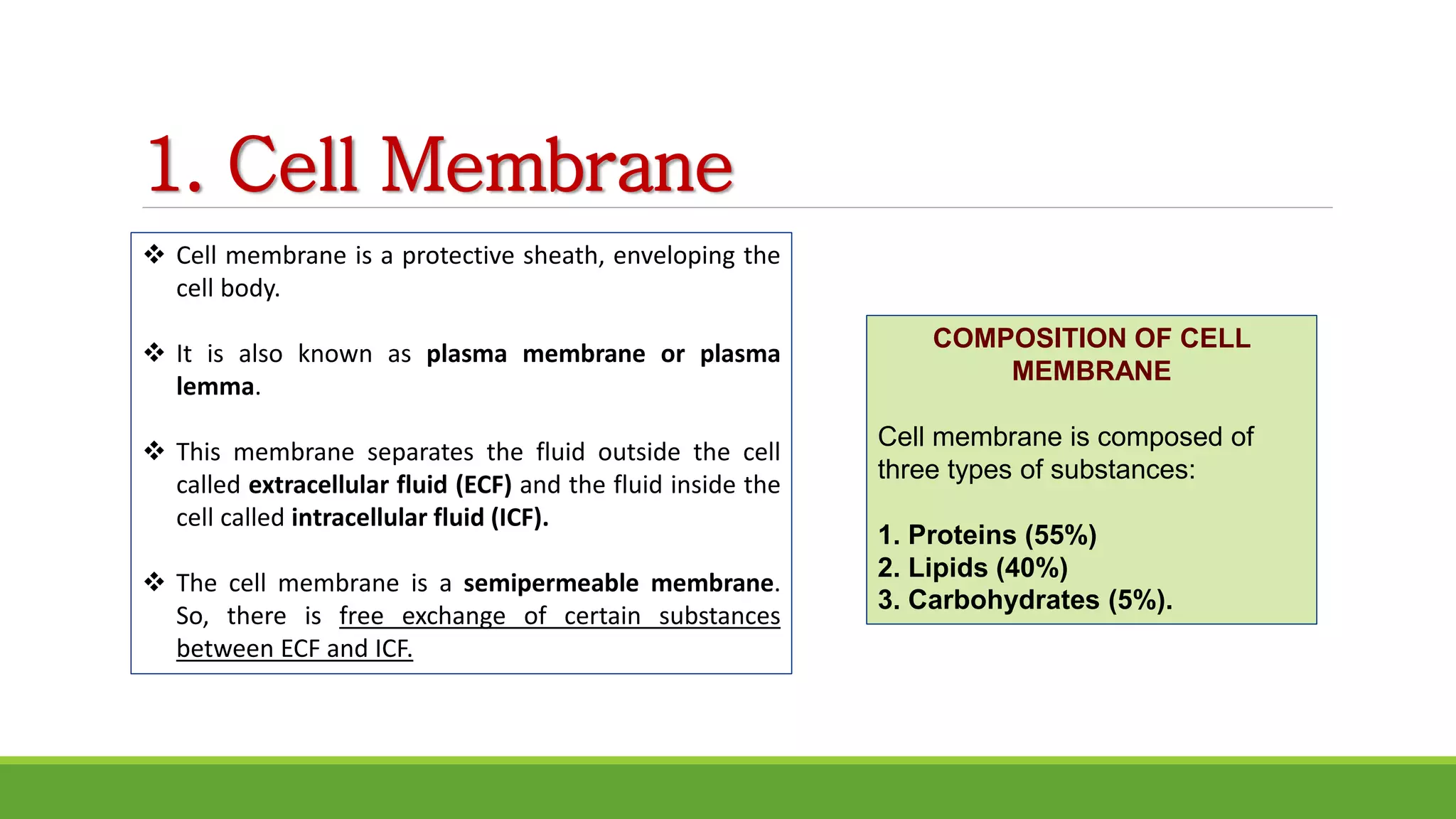 1. Cell Membrane
 Cell membrane is a protective sheath, enveloping the
cell body.
 It is also known as plasma membrane or plasma
lemma.
 This membrane separates the fluid outside the cell
called extracellular fluid (ECF) and the fluid inside the
cell called intracellular fluid (ICF).
 The cell membrane is a semipermeable membrane.
So, there is free exchange of certain substances
between ECF and ICF.
COMPOSITION OF CELL
MEMBRANE
Cell membrane is composed of
three types of substances:
1. Proteins (55%)
2. Lipids (40%)
3. Carbohydrates (5%).
 