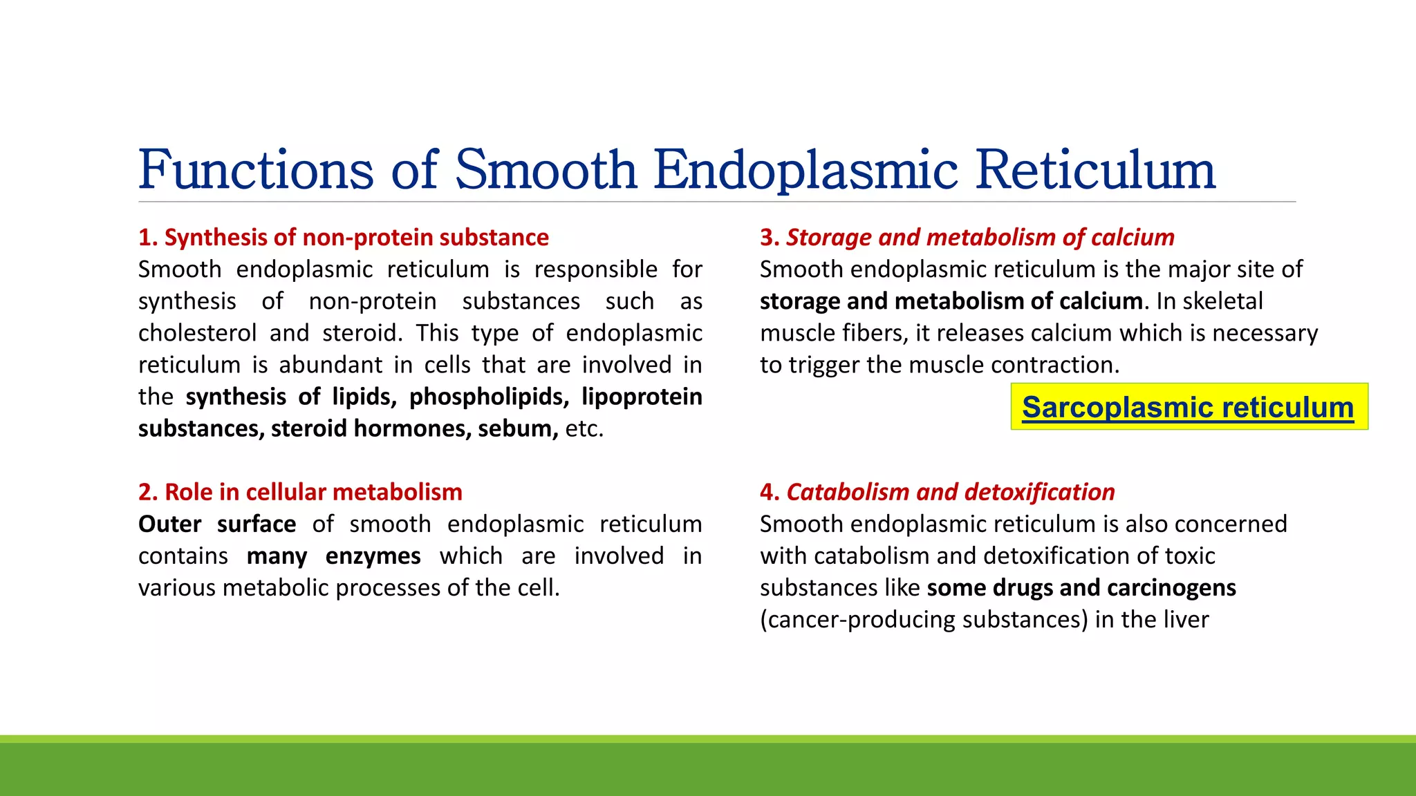 Functions of Smooth Endoplasmic Reticulum
1. Synthesis of non-protein substance
Smooth endoplasmic reticulum is responsible for
synthesis of non-protein substances such as
cholesterol and steroid. This type of endoplasmic
reticulum is abundant in cells that are involved in
the synthesis of lipids, phospholipids, lipoprotein
substances, steroid hormones, sebum, etc.
2. Role in cellular metabolism
Outer surface of smooth endoplasmic reticulum
contains many enzymes which are involved in
various metabolic processes of the cell.
3. Storage and metabolism of calcium
Smooth endoplasmic reticulum is the major site of
storage and metabolism of calcium. In skeletal
muscle fibers, it releases calcium which is necessary
to trigger the muscle contraction.
4. Catabolism and detoxification
Smooth endoplasmic reticulum is also concerned
with catabolism and detoxification of toxic
substances like some drugs and carcinogens
(cancer-producing substances) in the liver
Sarcoplasmic reticulum
 