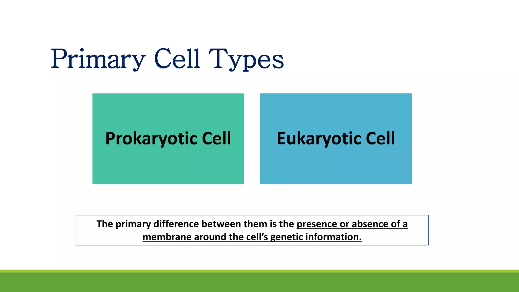 Primary Cell Types
Prokaryotic Cell Eukaryotic Cell
The primary difference between them is the presence or absence of a
membrane around the cell’s genetic information.
 
