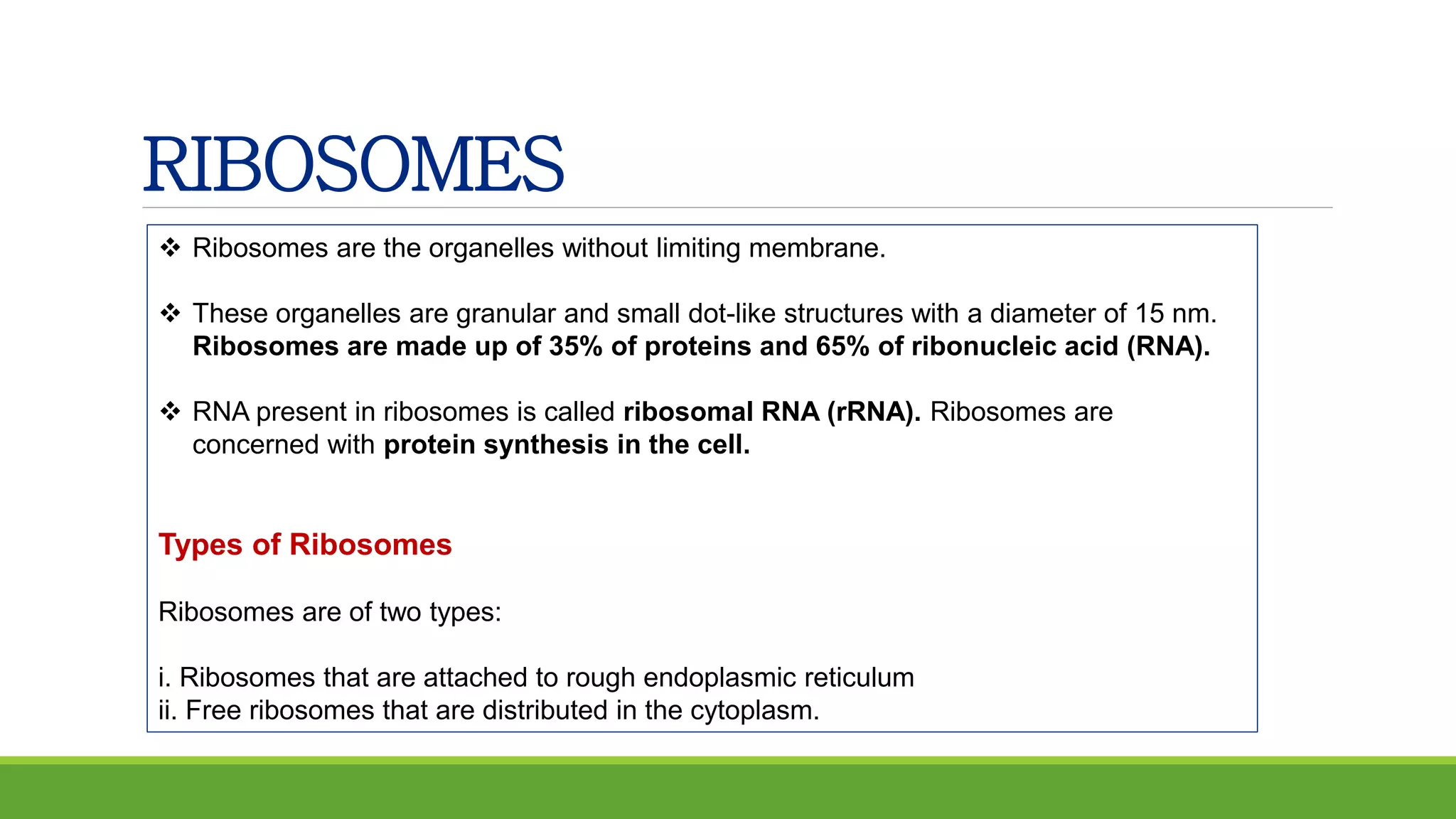 RIBOSOMES
 Ribosomes are the organelles without limiting membrane.
 These organelles are granular and small dot-like structures with a diameter of 15 nm.
Ribosomes are made up of 35% of proteins and 65% of ribonucleic acid (RNA).
 RNA present in ribosomes is called ribosomal RNA (rRNA). Ribosomes are
concerned with protein synthesis in the cell.
Types of Ribosomes
Ribosomes are of two types:
i. Ribosomes that are attached to rough endoplasmic reticulum
ii. Free ribosomes that are distributed in the cytoplasm.
 
