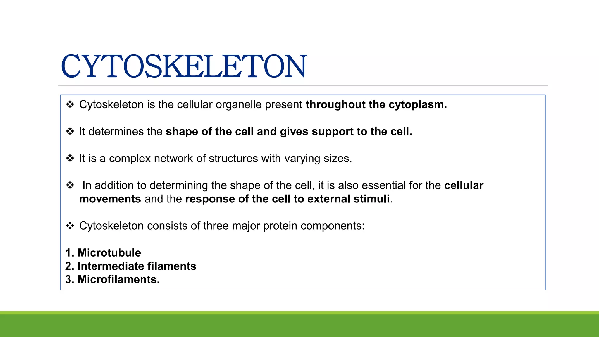 CYTOSKELETON
 Cytoskeleton is the cellular organelle present throughout the cytoplasm.
 It determines the shape of the cell and gives support to the cell.
 It is a complex network of structures with varying sizes.
 In addition to determining the shape of the cell, it is also essential for the cellular
movements and the response of the cell to external stimuli.
 Cytoskeleton consists of three major protein components:
1. Microtubule
2. Intermediate filaments
3. Microfilaments.
 