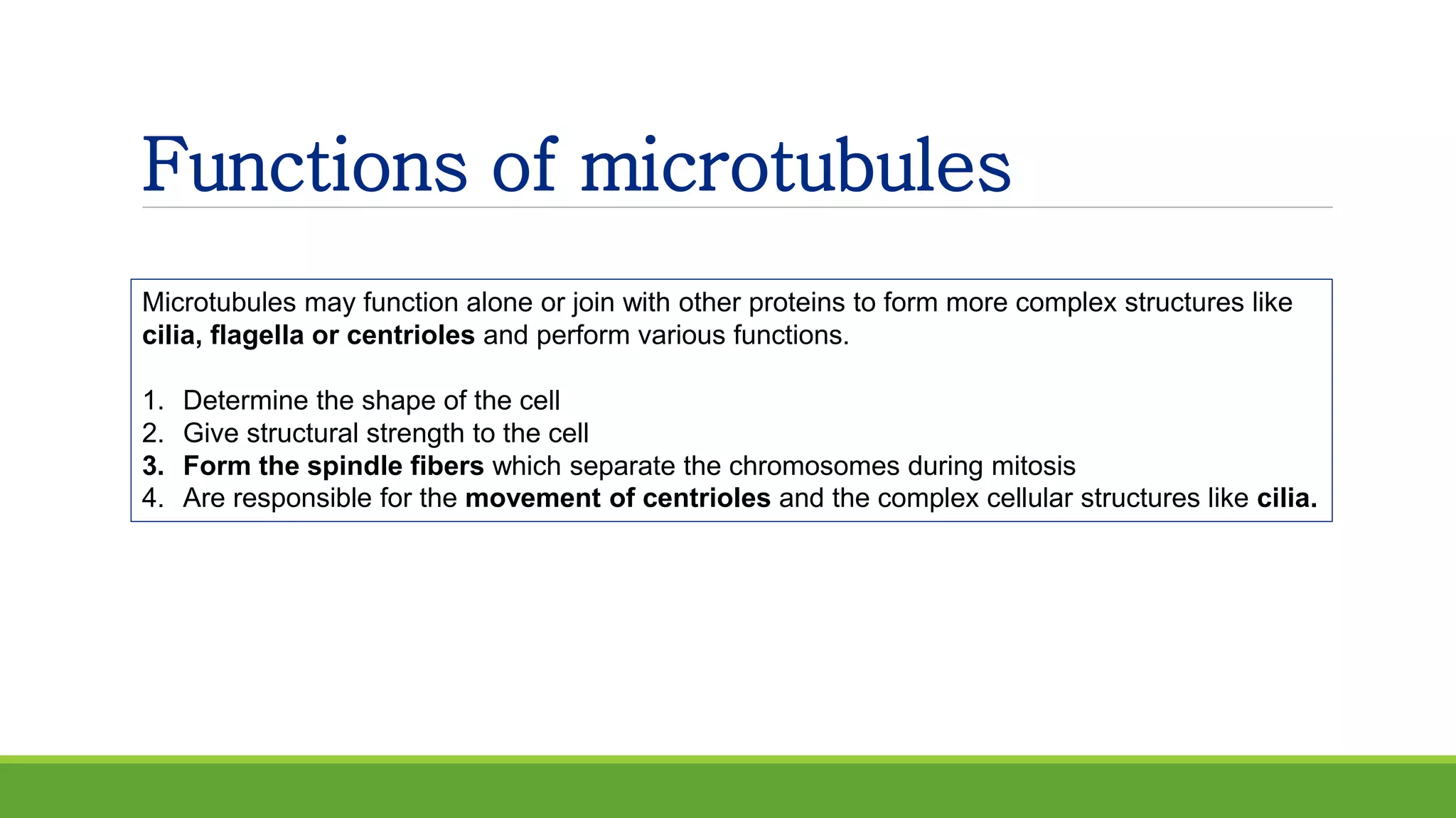 Functions of microtubules
Microtubules may function alone or join with other proteins to form more complex structures like
cilia, flagella or centrioles and perform various functions.
1. Determine the shape of the cell
2. Give structural strength to the cell
3. Form the spindle fibers which separate the chromosomes during mitosis
4. Are responsible for the movement of centrioles and the complex cellular structures like cilia.
 