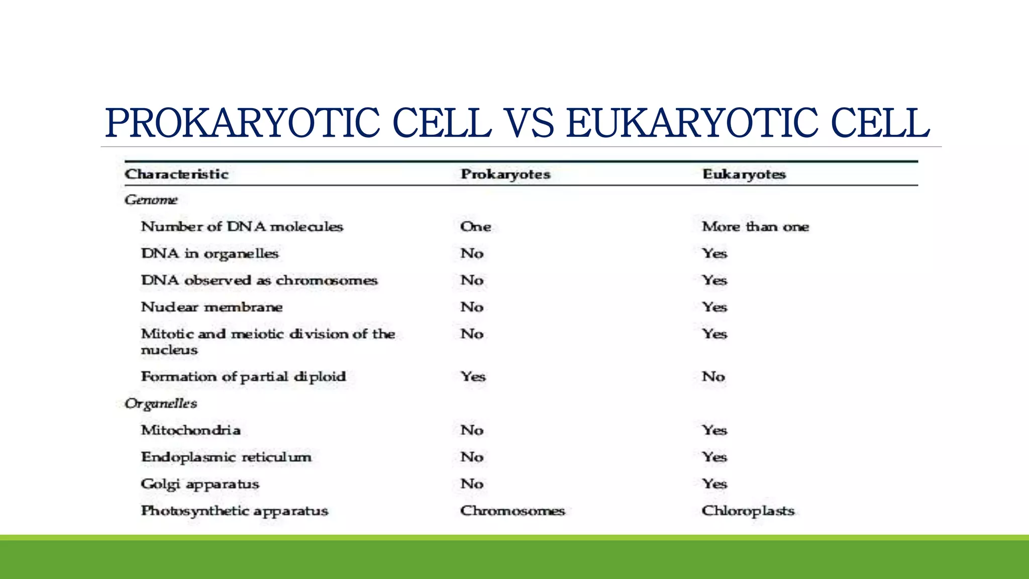 PROKARYOTIC CELL VS EUKARYOTIC CELL
 