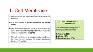 1. Cell Membrane
 Cell membrane is a protective sheath, enveloping the
cell body.
 It is also known as plasma membrane or plasma
lemma.
 This membrane separates the fluid outside the cell
called extracellular fluid (ECF) and the fluid inside the
cell called intracellular fluid (ICF).
 The cell membrane is a semipermeable membrane.
So, there is free exchange of certain substances
between ECF and ICF.
COMPOSITION OF CELL
MEMBRANE
Cell membrane is composed of
three types of substances:
1. Proteins (55%)
2. Lipids (40%)
3. Carbohydrates (5%).
 