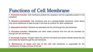 Functions of Cell Membrane
1. Protective function: Cell membrane protects the cytoplasm and the organelles present in the
cytoplasm
2. Selective permeability: Cell membrane acts as a semipermeable membrane, which allows
only some substances to pass through it and acts as a barrier for other substances
3. Absorptive function: Nutrients are absorbed into the cell through the cell membrane
4. Excretory function: Metabolites and other waste products from the cell are excreted out
through the cell membrane
5. Exchange of gases: Oxygen enters the cell from the blood and carbon dioxide leaves the cell
and enters the blood through the cell membrane
6. Maintenance of shape and size of the cell: Cell membrane is responsible for the
maintenance of shape and size of the cell.
 