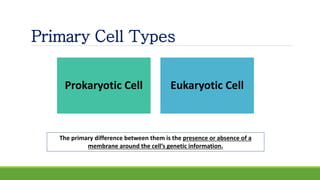 Primary Cell Types
Prokaryotic Cell Eukaryotic Cell
The primary difference between them is the presence or absence of a
membrane around the cell’s genetic information.
 