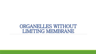 ORGANELLES WITHOUT
LIMITING MEMBRANE
 