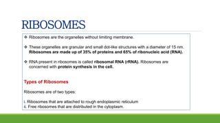 RIBOSOMES
 Ribosomes are the organelles without limiting membrane.
 These organelles are granular and small dot-like structures with a diameter of 15 nm.
Ribosomes are made up of 35% of proteins and 65% of ribonucleic acid (RNA).
 RNA present in ribosomes is called ribosomal RNA (rRNA). Ribosomes are
concerned with protein synthesis in the cell.
Types of Ribosomes
Ribosomes are of two types:
i. Ribosomes that are attached to rough endoplasmic reticulum
ii. Free ribosomes that are distributed in the cytoplasm.
 